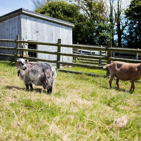Sharlands Farm Holiday Cottages Bude Eksteriør billede
